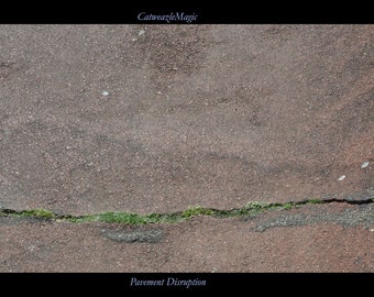 Alteración del pavimento (con encabezado y pie de página)