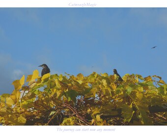 El viaje puede comenzar ahora en cualquier momento (con encabezado y pie de página)