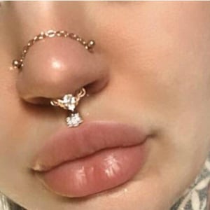 Peut inclure: Un anneau de nez en or avec une chaîne et un pendentif en cristal. L'anneau de nez est porté sur le côté gauche du nez.