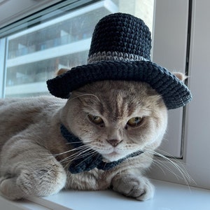 Virkat mönster för hög hatt till katt: Fancy Pet Beanie (PDF-nedladdning, amerikanska termer)
