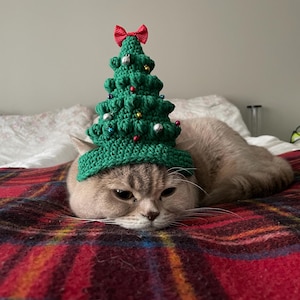 Op de afbeelding: Een kortharige kat draagt ​​een groene gehaakte kerstboomhoed met rode en witte ornamenten. De kat ligt op een rood-zwart geruit deken.