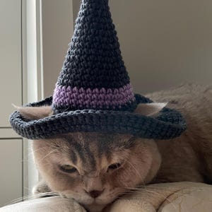 Può includere: Un gatto a pelo corto con un cappello da strega in crochet grigio e viola. Il gatto è sdraiato con la testa appoggiata su una superficie marrone chiaro.
