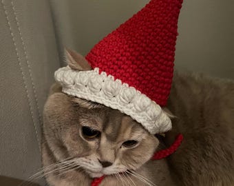 Häkelanleitung für Weihnachts-Katzenmütze: Haustier-Weihnachts-Accessoire, Feiertagskostüm (PDF-Download, US Bezeichnung)
