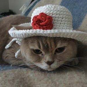 CROCHET PATTERN Crochet Cat Hat, Handmade Fancy Pet Hat for Cats and Small Dogs,  Pdf Pattern with Pictures & Video Tutorial