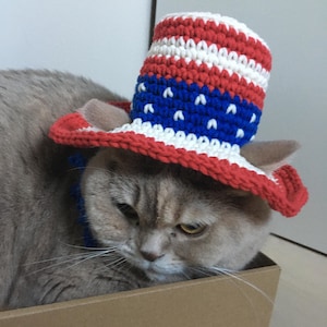 Crochet Patriotic Cat Hat Pattern:  American Flag Pet Costume (PDF Pattern, US Terms)