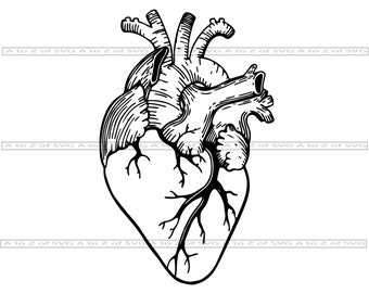 Download Organ Clipart Etsy