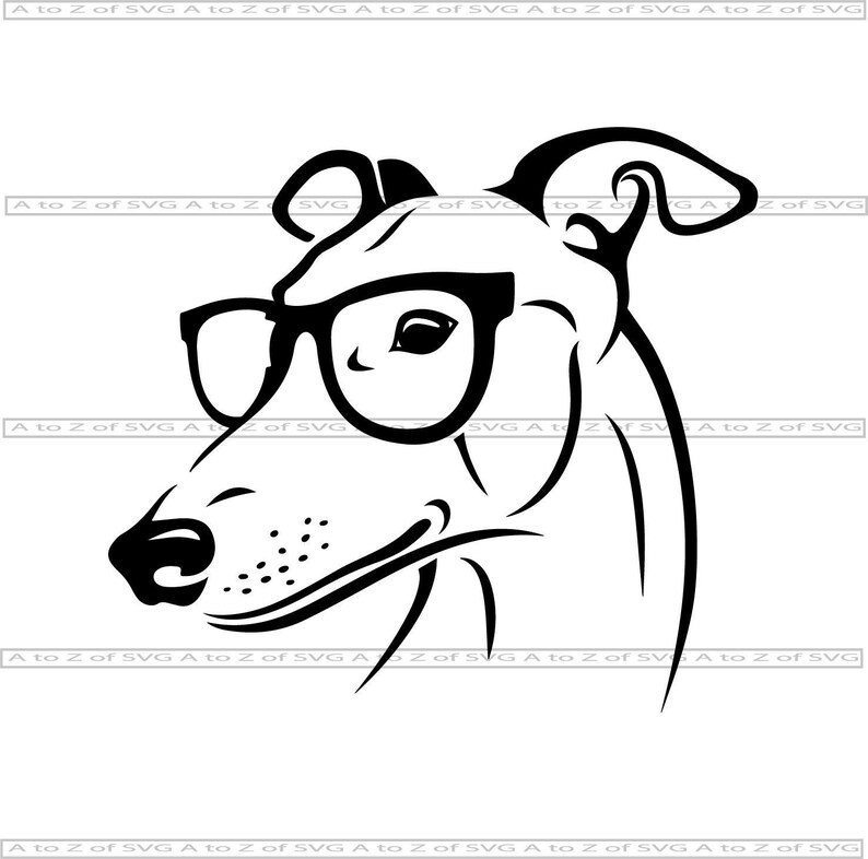 greyhound sunglasses