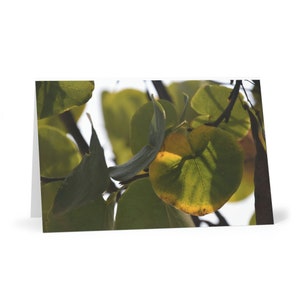 Tarjetas de felicitación Love Leaf (7 uds)