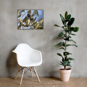 Olives Canvas