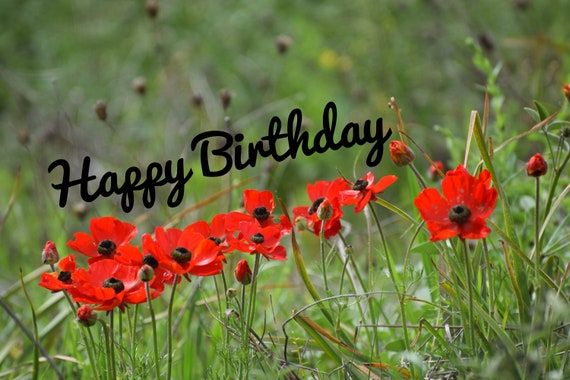 Happy Birthday Meme Digital Photo | Etsy Australia