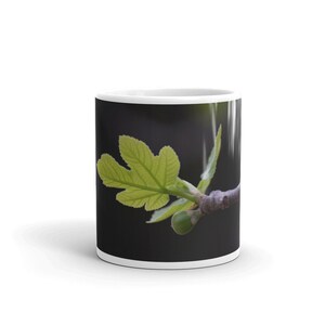 May include: A white ceramic mug with a black background featuring a close-up of a green fig leaf and a small fig on a branch.