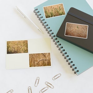 Shavuot Sticker Sheets