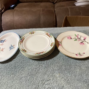 Homer laughlin bluebird cheap