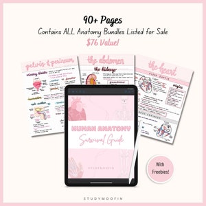 Human Anatomy Survival Guide | Anatomy Notes Bundle | Anatomy Study Guide Notes