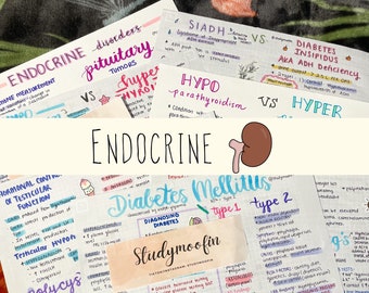 Pathophysiology Endocrine Disorders Notes Bundle with Knowledge Check