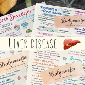 Könnte beinhalten: Ein farbenfroher handgeschriebener Studienführer über Lebererkrankungen. Der Leitfaden enthält Informationen über prähepatische, hepatische und posthepatische Gelbsucht sowie über Biomarker für Leberschäden. Der Leitfaden enthält auch ein Diagramm der Leber.