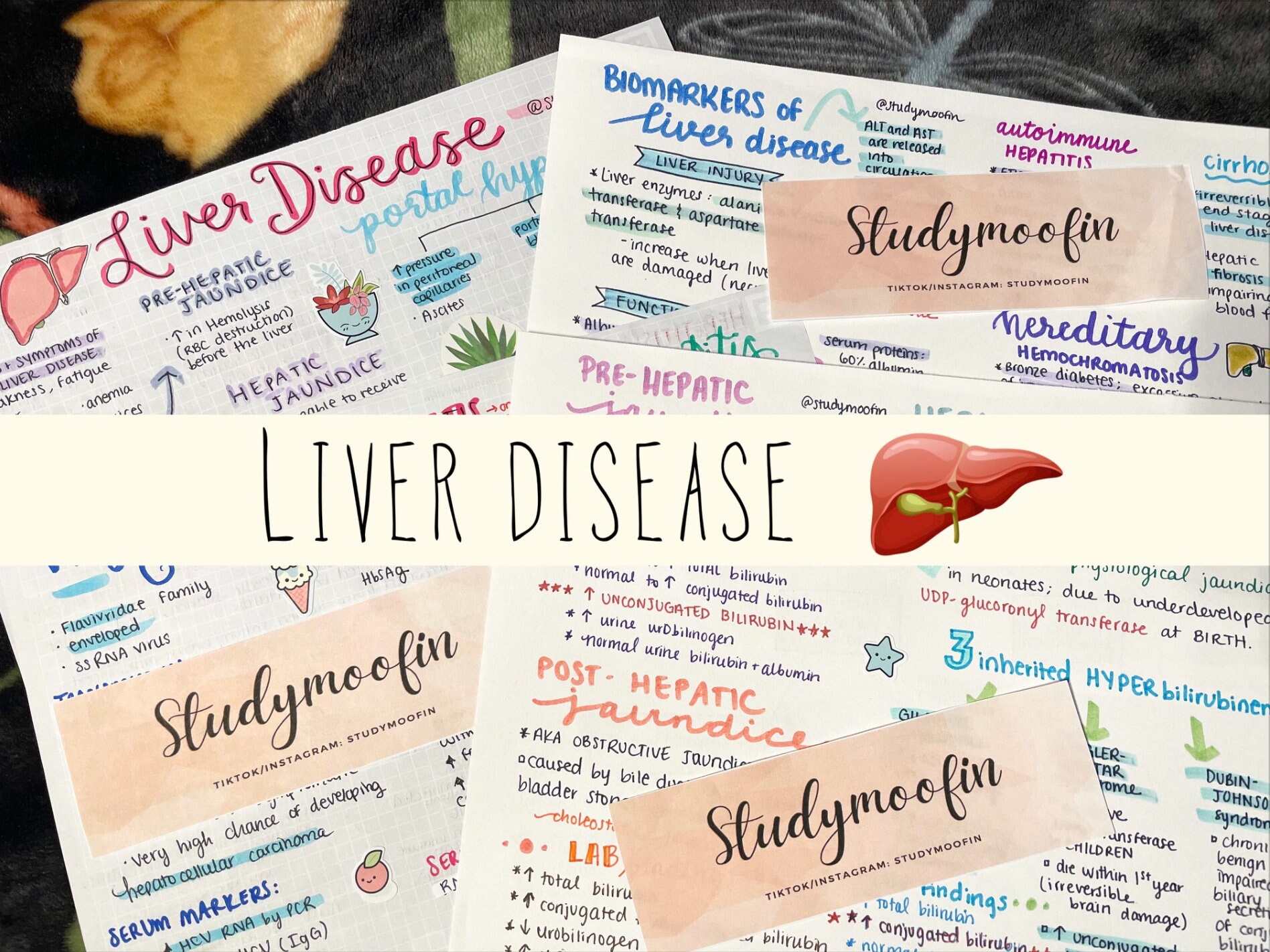Pathophysiology Liver Disorders Notes Bundle With Knowledge