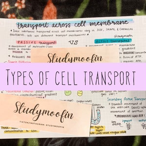 May include: A pink and purple handwritten note with the title "Types of Cell Transport". The note explains the different types of cell transport, including passive transport, active transport, and secondary active transport. The note also includes a diagram of a cell membrane and the movement of molecules across the membrane.