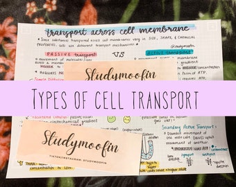 Könnte beinhalten: Eine handgeschriebene Notiz in Rosa und Lila mit dem Titel "Arten des Zelltransports". Die Notiz erklärt die verschiedenen Arten des Zelltransports, darunter passiver Transport, aktiver Transport und sekundärer aktiver Transport. Die Notiz enthält auch ein Diagramm einer Zellmembran und die Bewegung von Molekülen durch die Membran.
