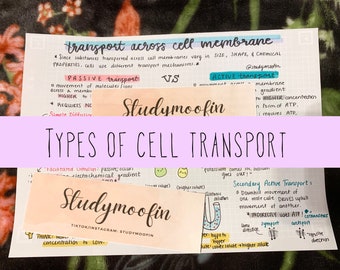 Physiology Types of Cell Transport Notes Concept Map