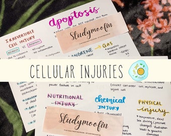 Pathophysiology Cellular Injuries Bundle with Knowledge Check