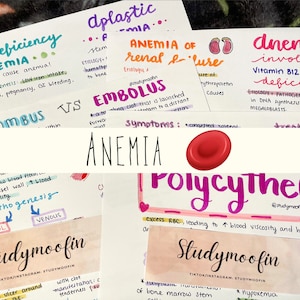 Pathophysiology Red Blood Cell Disorders Bundle with Knowledge Check