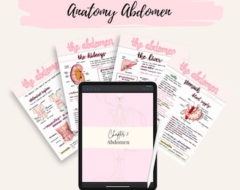 Anatomy Abdomen Notes | Digestive System Notes Bundle