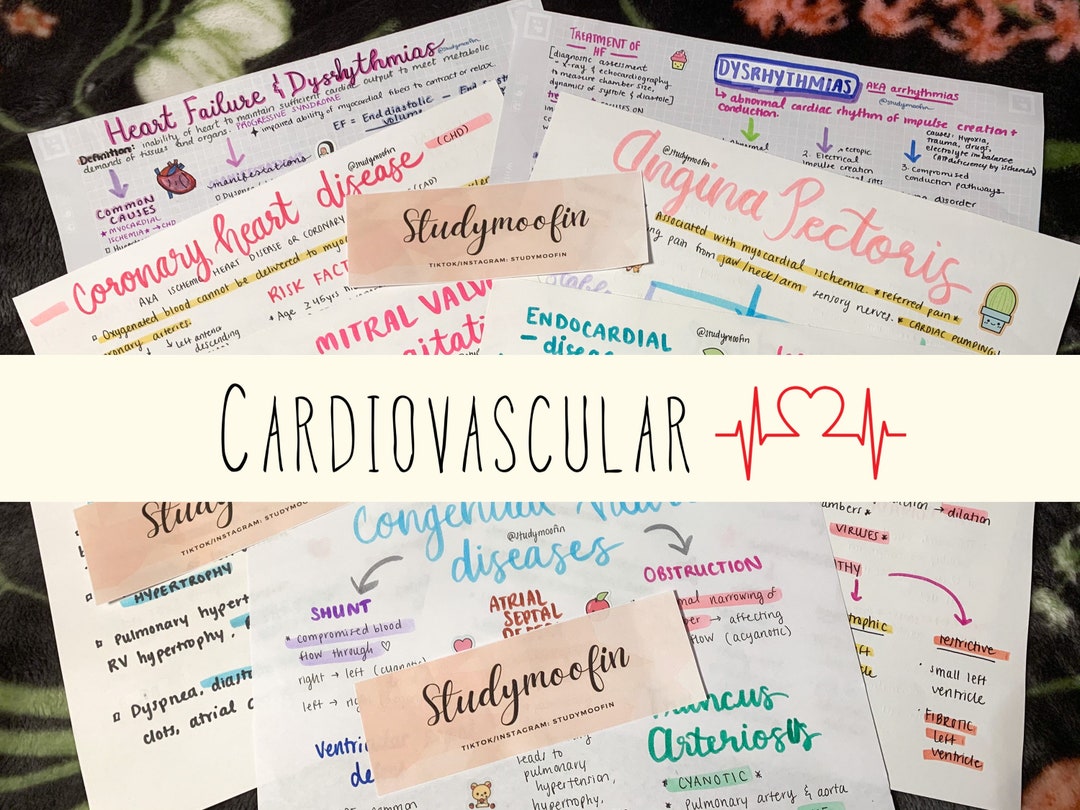 Pathophysiology Cardiovascular Diseases Heart Failure Notes With ...