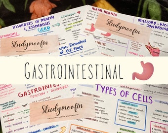 Pathophysiology Gastrointestinal Disorders Notes Bundle with Knowledge Check