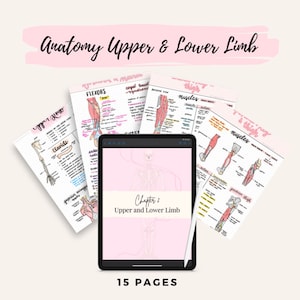 Anatomy Upper and Lower Limb Notes | Anatomy and Physiology Notes Bundle
