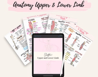 Anatomy Upper and Lower Limb Notes | Anatomy and Physiology Notes Bundle