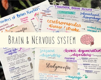 Pathophysiology Brain and Nervous System Disorders Bundle with Knowledge Check