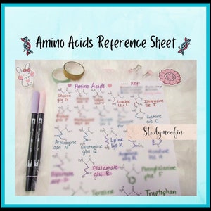 May include: A handwritten reference sheet with the title "Amino Acids Reference Sheet" and a key listing the amino acids with their abbreviations and chemical structures. The sheet is decorated with colorful stickers and markers.