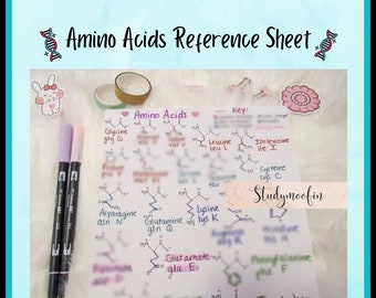 May include: A handwritten reference sheet with the title "Amino Acids Reference Sheet" and a key listing the amino acids with their abbreviations and chemical structures. The sheet is decorated with colourful stickers and markers.