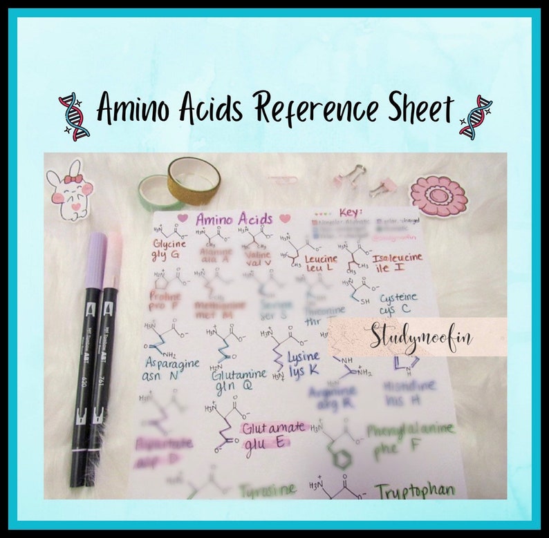 May include: A handwritten reference sheet with the title "Amino Acids Reference Sheet" and a key listing the amino acids with their abbreviations and chemical structures. The sheet is decorated with colorful stickers and markers.