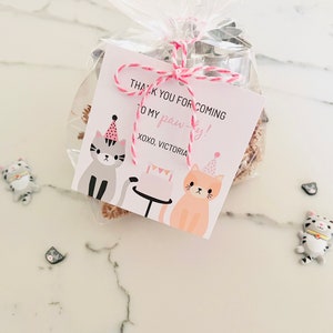 Cat Birthday Party Favor, Kitten Modeling Clay Favor, Kitty Party Favor, Kids Party Favor