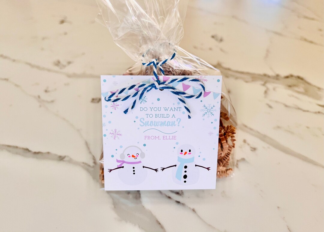 Frozen Birthday Party Favor, Do You Want to Build a Snowman Kit ...