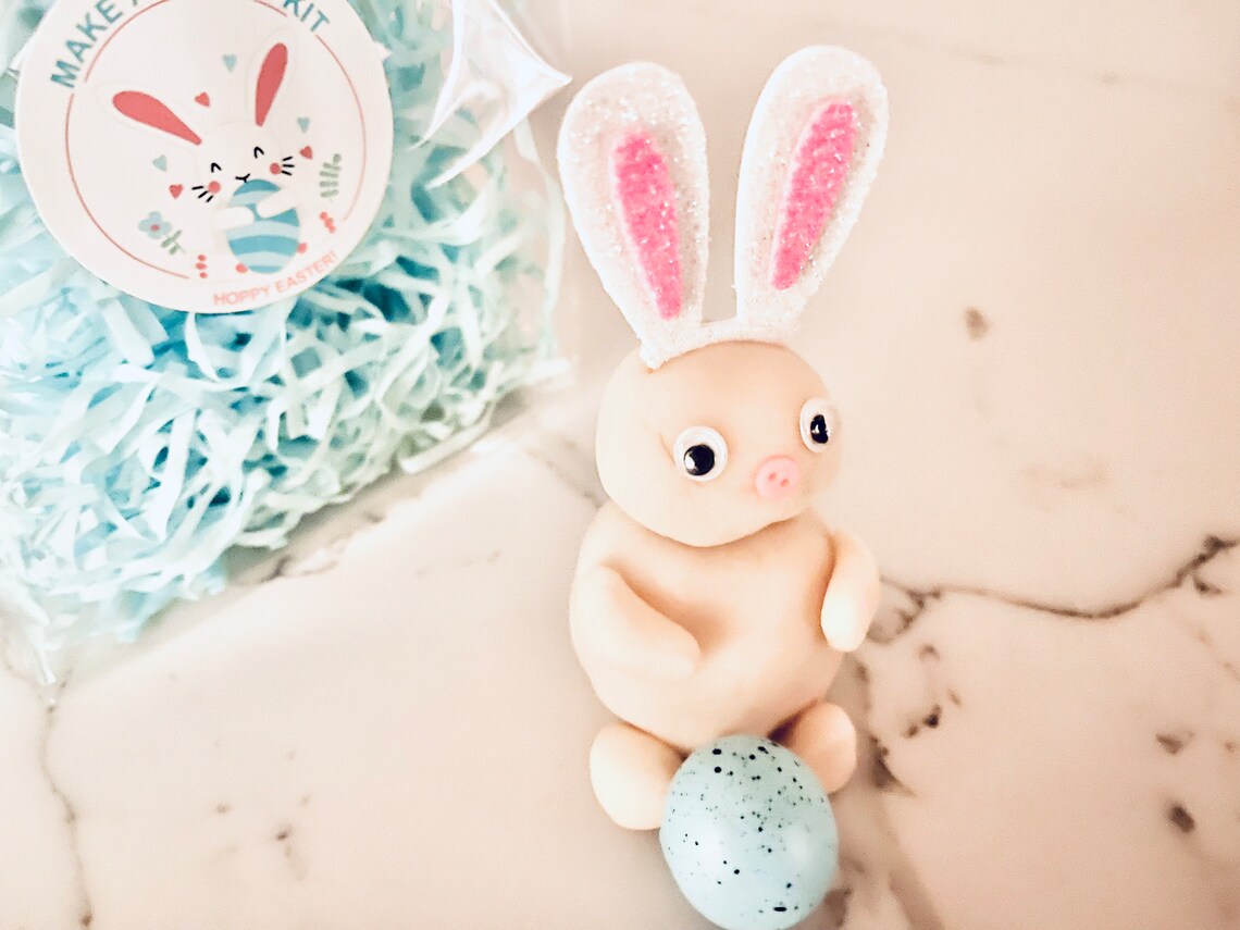 Easter Make a Bunny Modeling Clay Kit, Easter Basket Idea, Easter Gift ...
