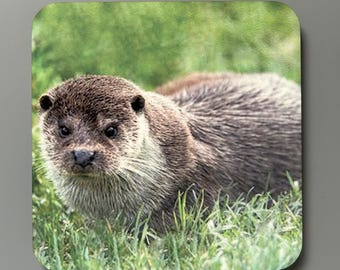Otter-Foto-Untersetzer - Hitzebeständiges britisches Wildtiergeschenk