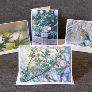 Packung mit 8 Robin Weihnachtskarten