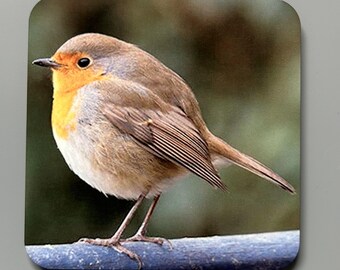 Robin Photo Coaster: British Wildlife Art, Heat Resistant Cork Back