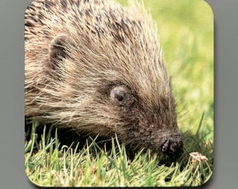 Sottobicchiere con foto di riccio: arte della fauna selvatica britannica, retro in sughero resistente al calore
