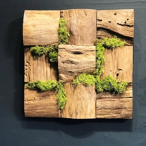 Teak Root Wooden Moss Art Square - Moss Wall Art