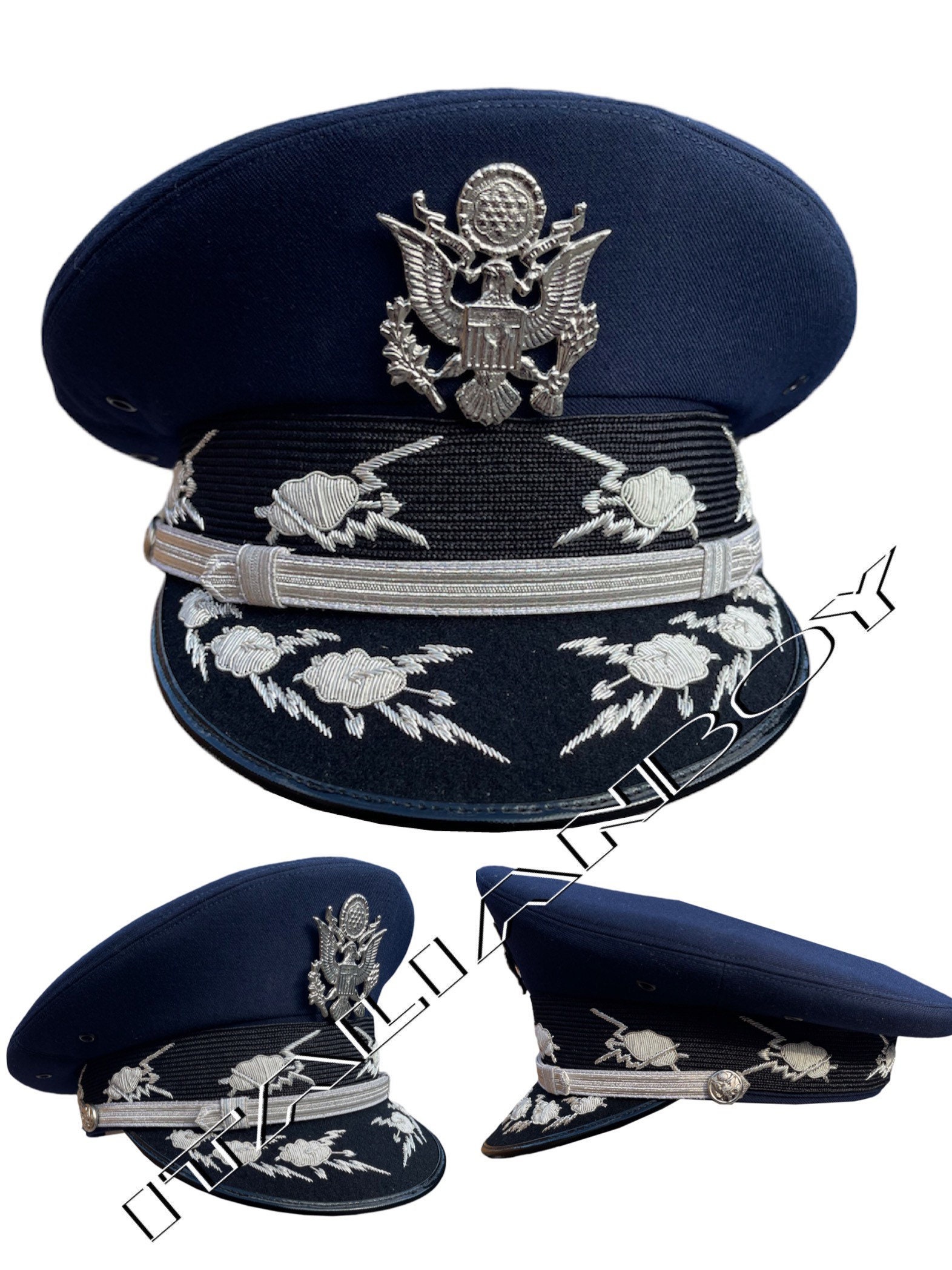 USAF Airforce Chief of Staff General 