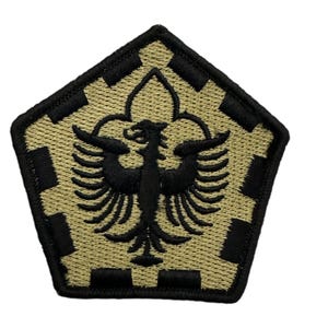 May include: A black and tan embroidered patch with a black eagle design. The eagle is centered on a tan background with a black border. The patch is shaped like a pentagon.