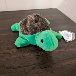 Speedy the turtle beanie baby