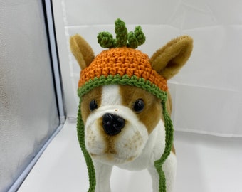 Fall Pumpkin Dog Hat