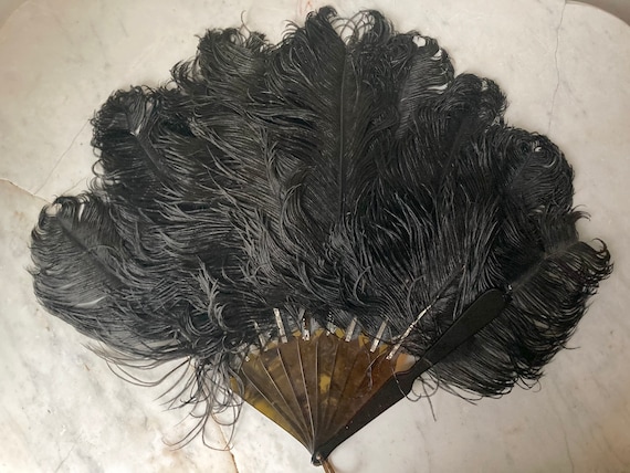Antique Ostrich Feather Fan