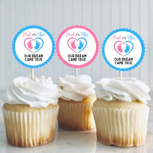 Gender Reveal Cupcake Toppers, Gender Reveal Party Decorations
