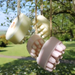 May include: Close-up of several bars of soap hanging from twine, suspended from a tree branch. The soaps are various shades of white and pink, with a textured design. The background features a green lawn and a blue sky.